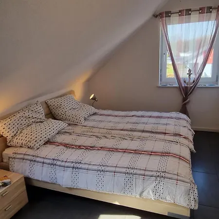 Wismarer Kogge L&l Bis 12 Personen *